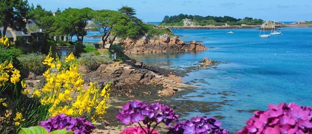 Hotel Manoir De Kertalg Moëlan-sur-Mer Exteriér fotografie